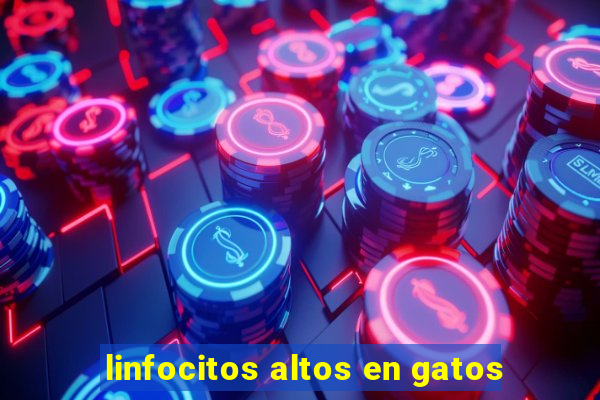 linfocitos altos en gatos